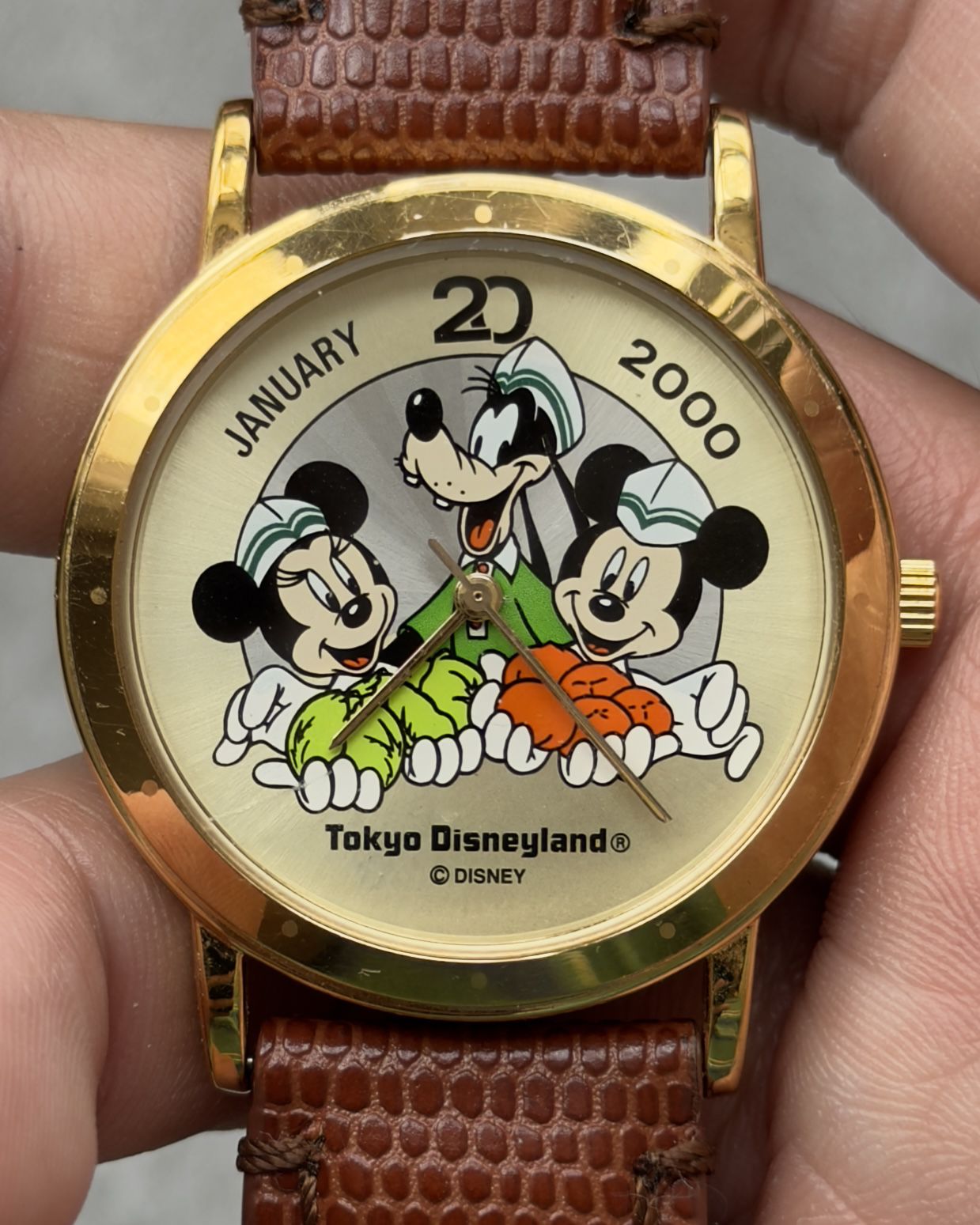 TOKYO DISNEYLAND 2000 COMMEMORATIVE WATCH